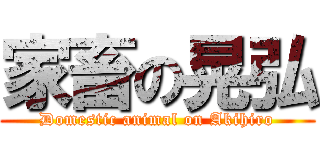 家畜の晃弘 (Domestic animal on Akihiro)