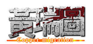 黃瑞圖 (Copper migration)