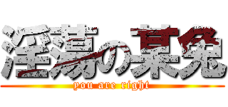 淫蕩の某兔 (you are right)