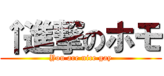 ↑進撃のホモ (You are nice gay)