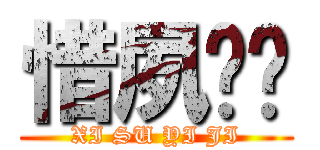 惜夙忆际 (XI SU YI JI)