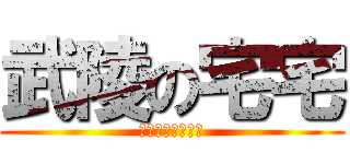武陵の宅宅 (／人◕‿‿◕人＼)