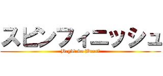 スピンフィニッシュ (Beyblade Burst)