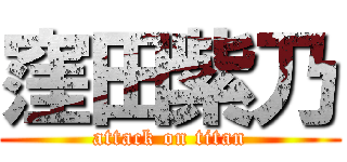 窪田紫乃 (attack on titan)