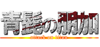 青髭の朋加 (attack on titan)