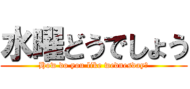水曜どうでしょう (How do you like wednesday？)