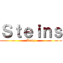 Ｓｔｅｉｎｓ (Keng)
