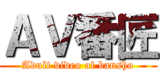 ＡＶ番匠 (Adult video of bansho)