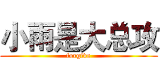 小雨是大总攻 (forgive)