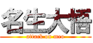 名生大悟 (attack on meo)