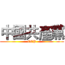 中國共產黨 (CCP)