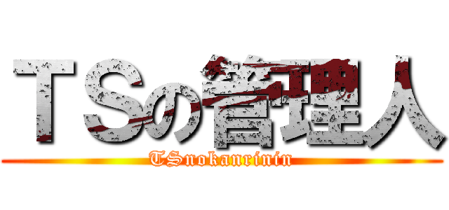 ＴＳの管理人 (TSnokanrinin)