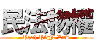 民法物權 (Real Right Law)