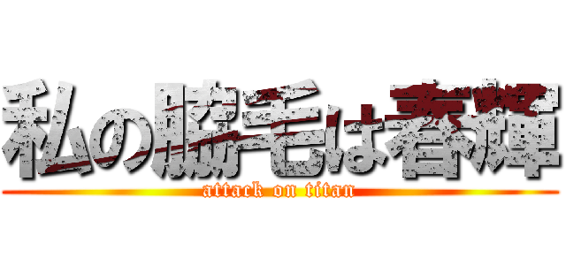 私の脇毛は春輝 (attack on titan)