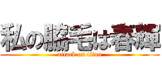 私の脇毛は春輝 (attack on titan)