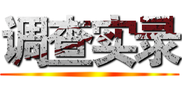 调查实录 ()