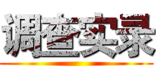 调查实录 ()