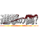 進撃の偽貓 (attack on titan)