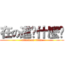 在の進擊什麼啦 (attack on titan)