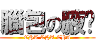 腦包の腋妘 (CHA CHA CHA)