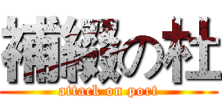 補綴の杜 (attack on port)