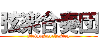 弦楽合奏団 (strings orchestra)