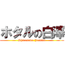 ホタルの白澤 (Shirasawa Jessica)