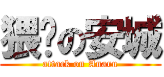 猥琐の安城 (attack on Anaru)