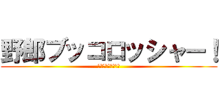 野郎ブッコロッシャー！ (オラオラオラオラ！)