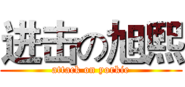 进击の旭熙 (attack on yorkie)