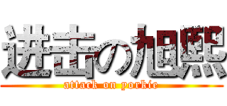进击の旭熙 (attack on yorkie)