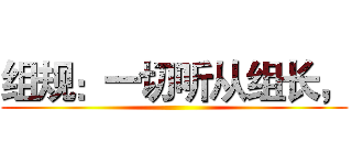 组规：一切听从组长， ()
