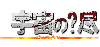  宇宙の风尽 (New Bee)