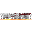 你真的很討厭ㄟ (attack on 玉玲)