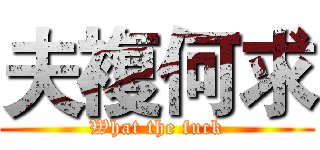 夫複何求 (What the fuck)