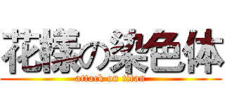 花樣の染色体 (attack on titan)