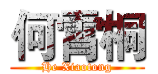 何霄桐 (He Xiaotong)