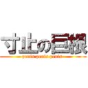 寸止の巨根 (penis penis penis )