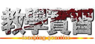 教學實習 (teaching practice)