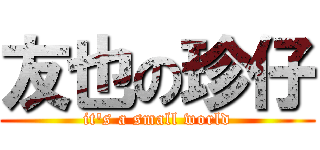 友也の珍仔 (it\'s a small world)