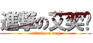 進撃の艾奕姍 (attack on dog)