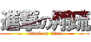 進撃の翔琉 (attack on titan)