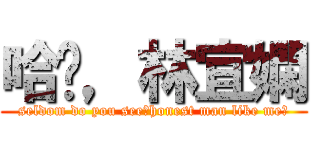 哈囉，林宜嫻 (seldom do you see，honest man like me?)
