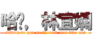 哈囉，林宜嫻 (seldom do you see，honest man like me?)