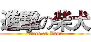 進擊の柴犬 (attack on Udon)
