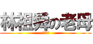 林祖舜の老母 (公廁作成)