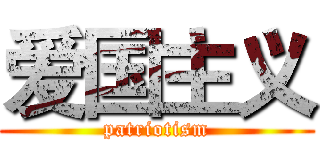 爱国主义 (patriotism)