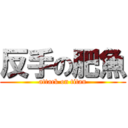 反手の肥魚 (attack on titan)