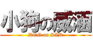 小狗の威涵 (DOG on SID)