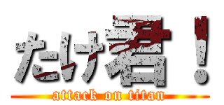 たけ君！ (attack on titan)